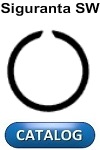 Inel siguranta circulara SW